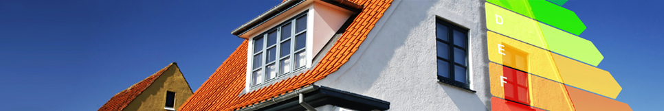 Banner - Thomas Lettgen