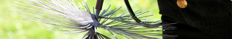 Banner - Thomas Lettgen